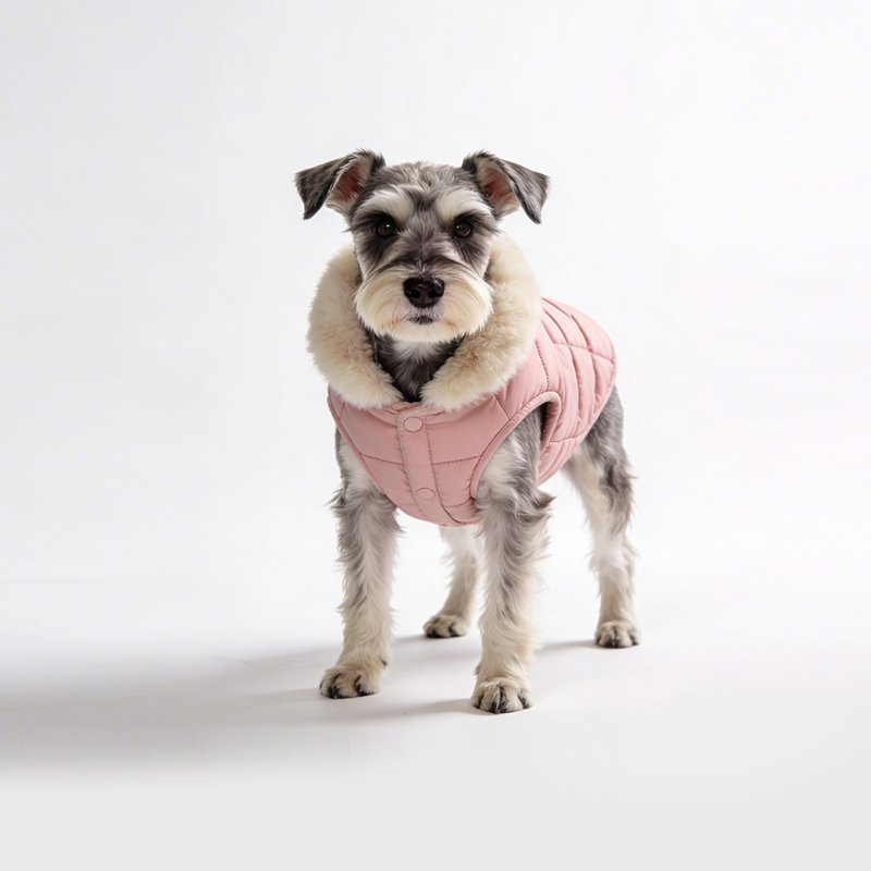 sweet-and-cute-pet-coat