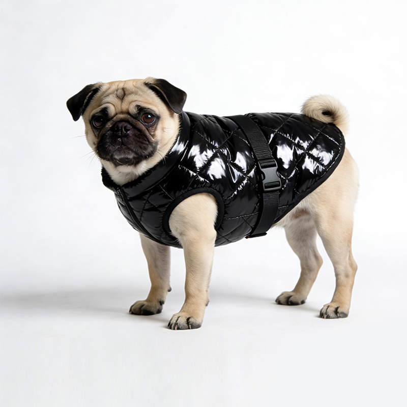 warm-and-cold-proof-shiny-puffer-pet-coat
